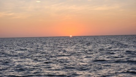 js_20221204_173444