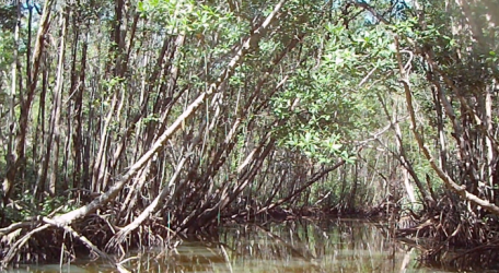 Picture1