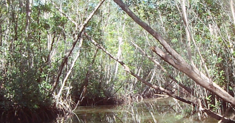 Picture3