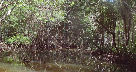 Picture4