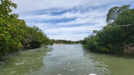 js_20230121_133446