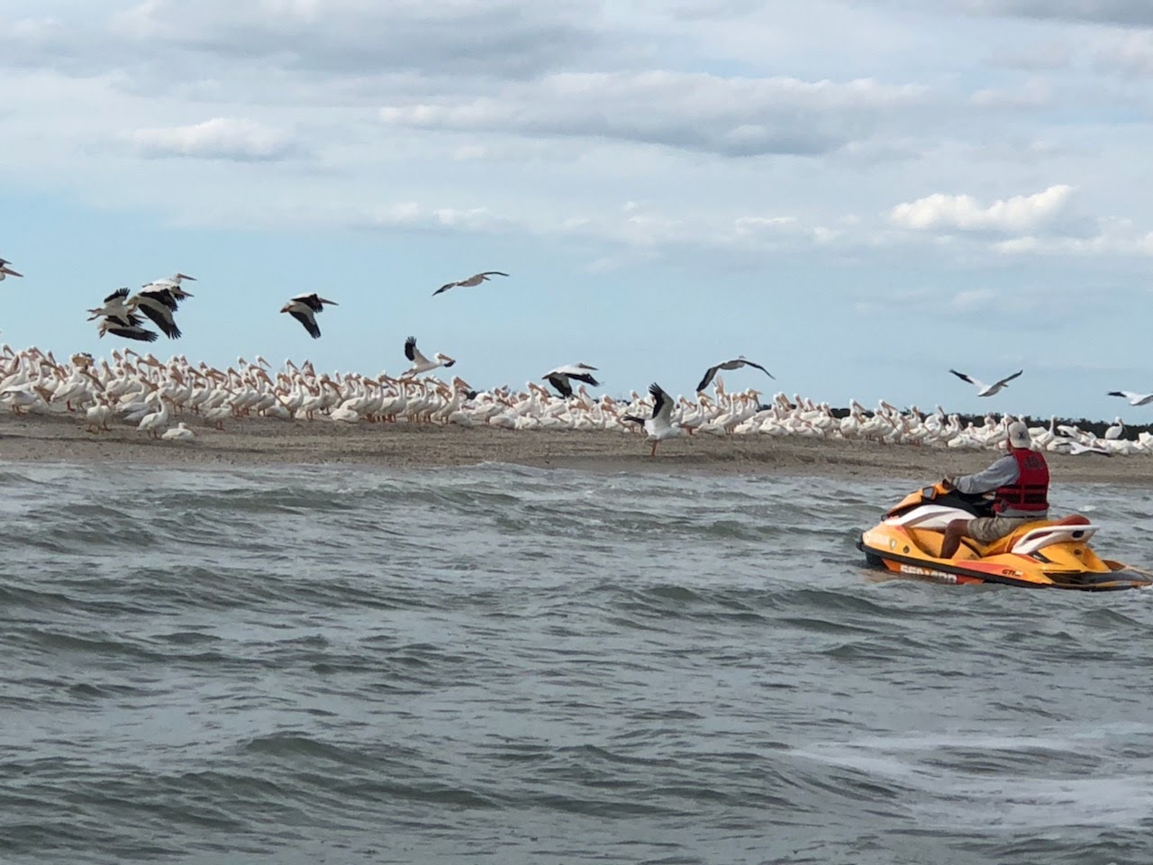 Jet Skiing in the Ten Thousand Islands